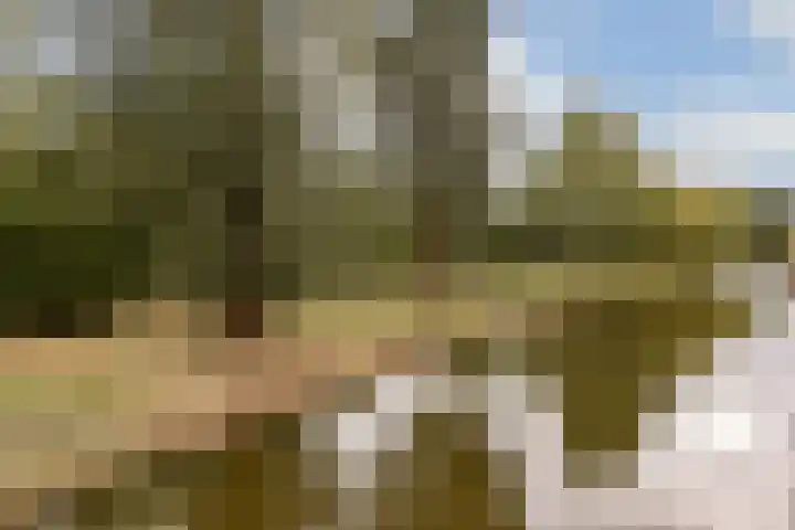Harkje Benthempad 19 Schiedam thumbnail 32