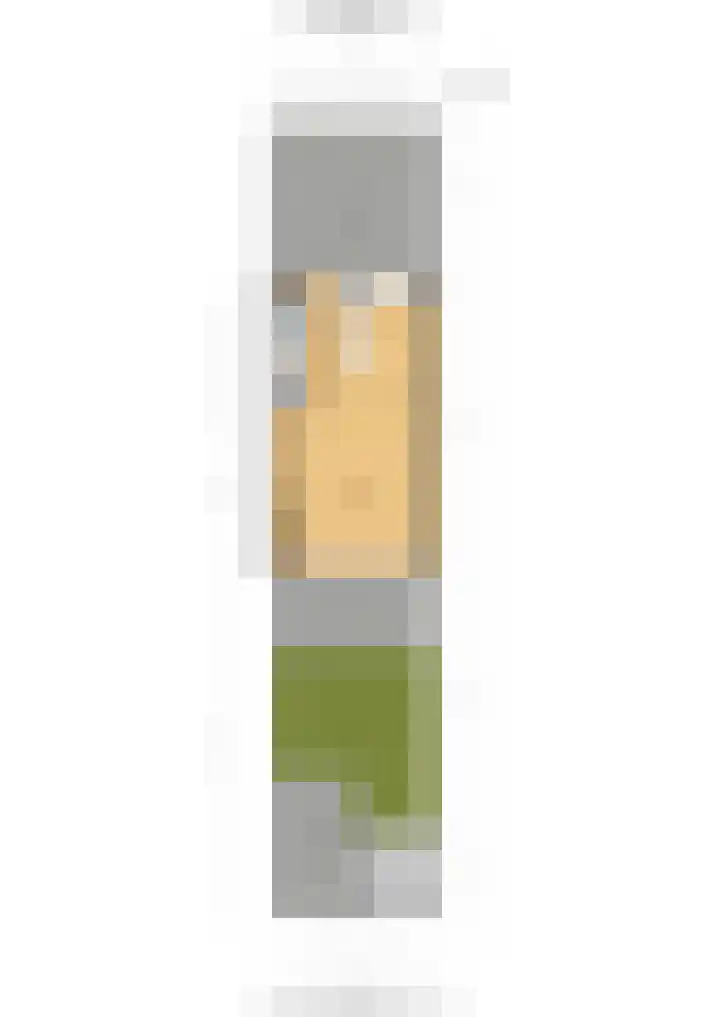 Harkje Benthempad 19 Schiedam thumbnail 34