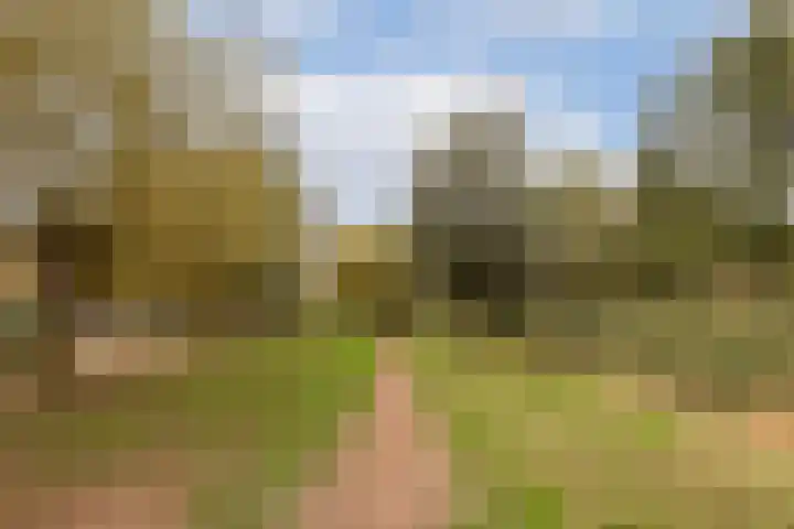 Harkje Benthempad 19 Schiedam thumbnail 4
