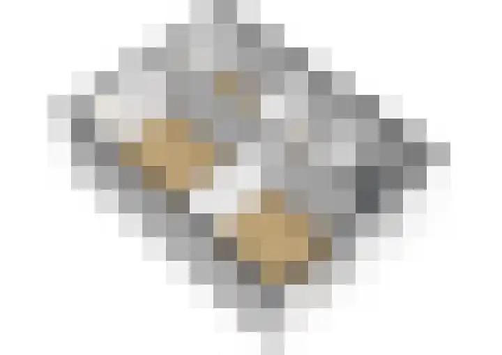 Harkje Benthempad 19 Schiedam thumbnail 41
