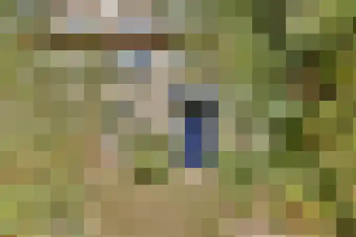 Harkje Benthempad 19 Schiedam thumbnail 6