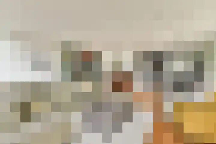 Harkje Benthempad 19 Schiedam thumbnail 8