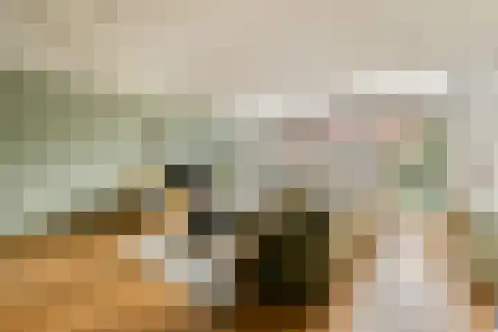 Harkje Benthempad 19 Schiedam thumbnail 9