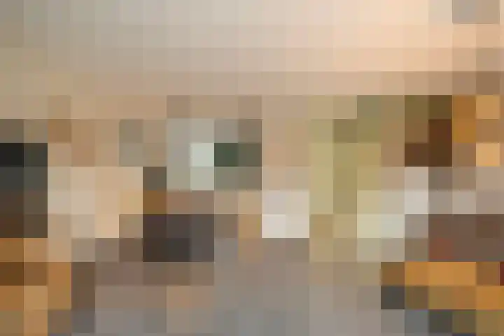Harkje Benthempad 21 Schiedam thumbnail 10