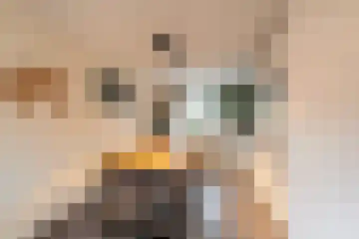 Harkje Benthempad 21 Schiedam thumbnail 11