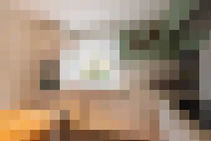 Harkje Benthempad 21 Schiedam thumbnail 13