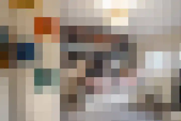 Harkje Benthempad 21 Schiedam thumbnail 14