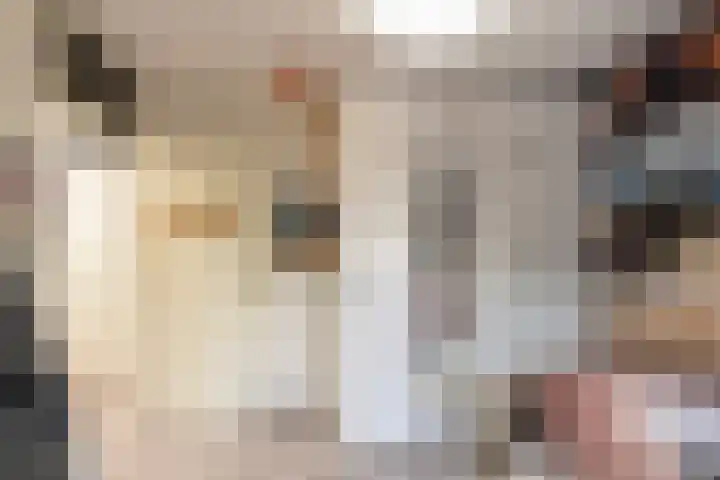 Harkje Benthempad 21 Schiedam thumbnail 16