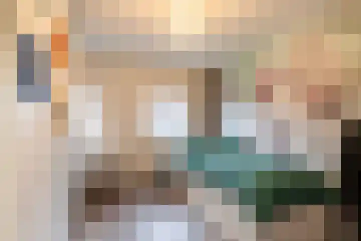 Harkje Benthempad 21 Schiedam thumbnail 17