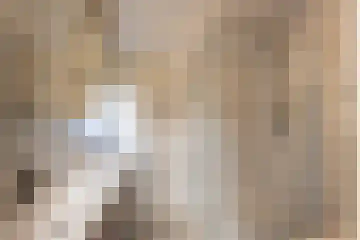 Harkje Benthempad 21 Schiedam thumbnail 20