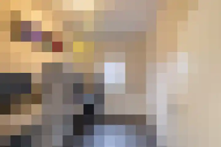 Harkje Benthempad 21 Schiedam thumbnail 21
