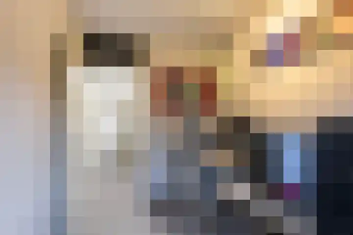 Harkje Benthempad 21 Schiedam thumbnail 22