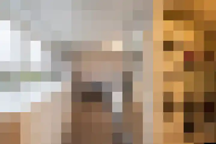 Harkje Benthempad 21 Schiedam thumbnail 23