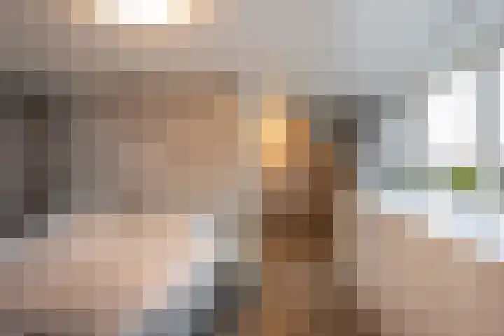 Harkje Benthempad 21 Schiedam thumbnail 26