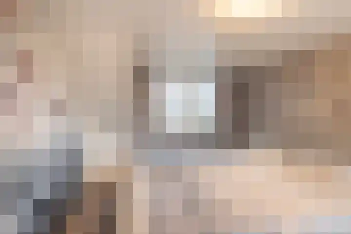 Harkje Benthempad 21 Schiedam thumbnail 27