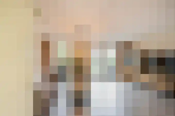 Harkje Benthempad 21 Schiedam thumbnail 4