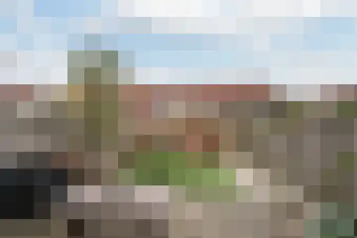 Harkje Benthempad 21 Schiedam thumbnail 7