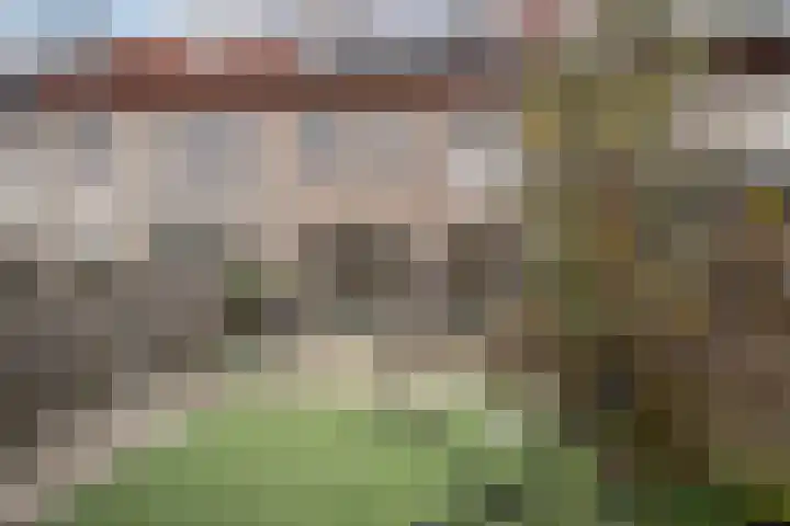 Harkje Benthempad 21 Schiedam thumbnail 9
