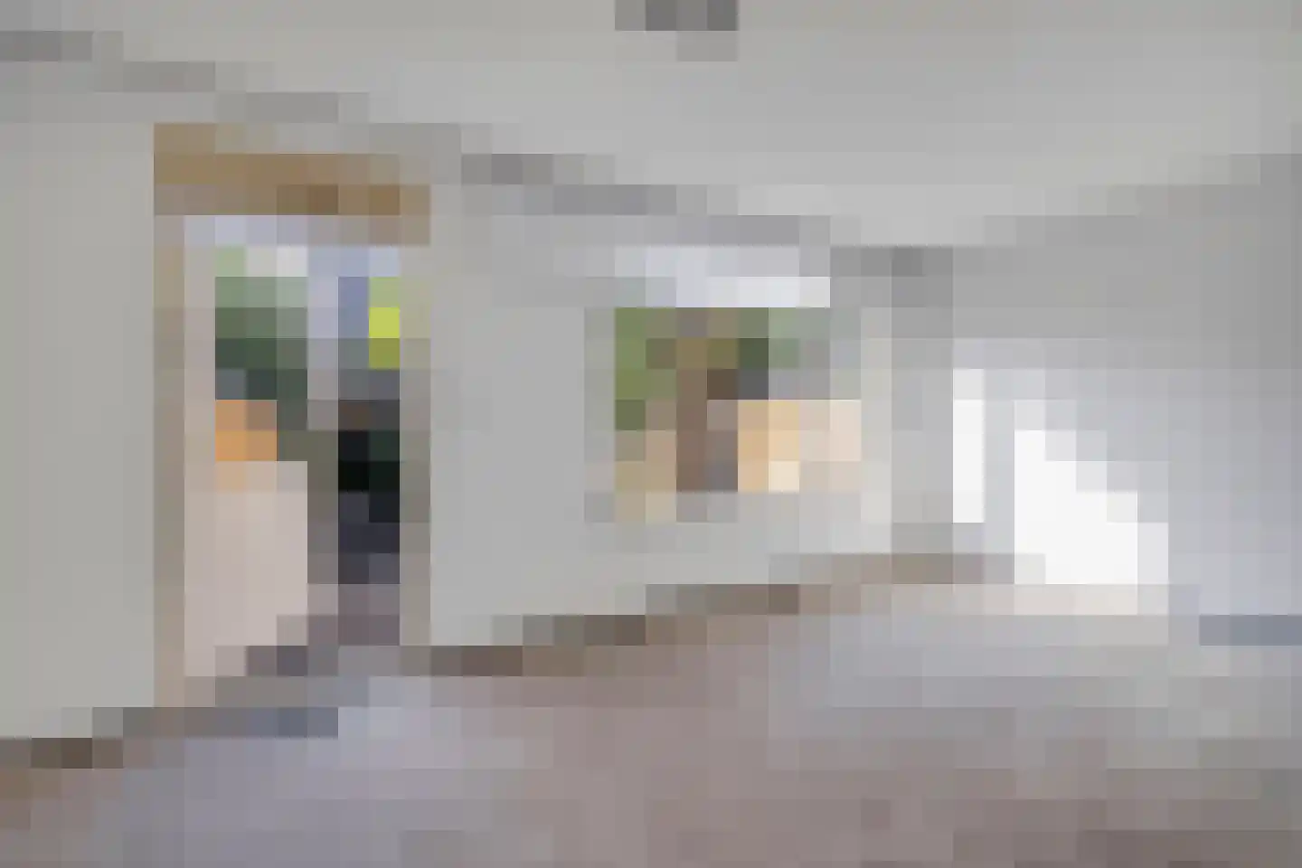 Harkje Benthempad 31 Schiedam thumbnail 15