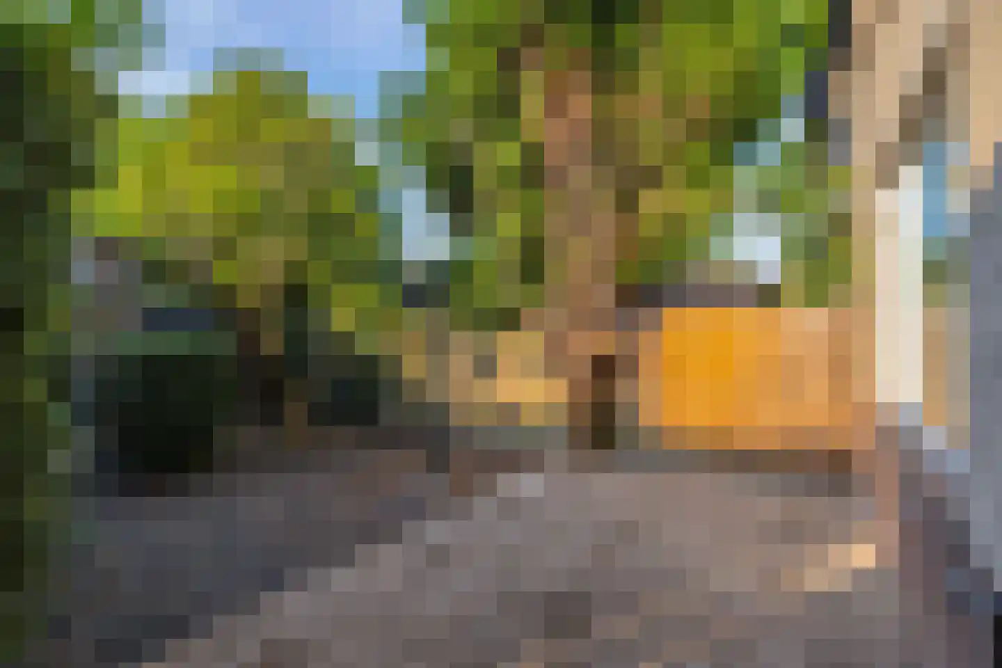 Harkje Benthempad 31 Schiedam thumbnail 16