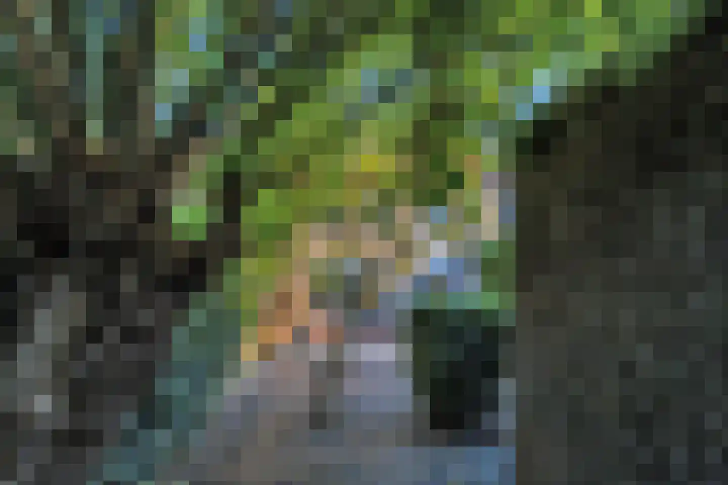 Harkje Benthempad 31 Schiedam thumbnail 19