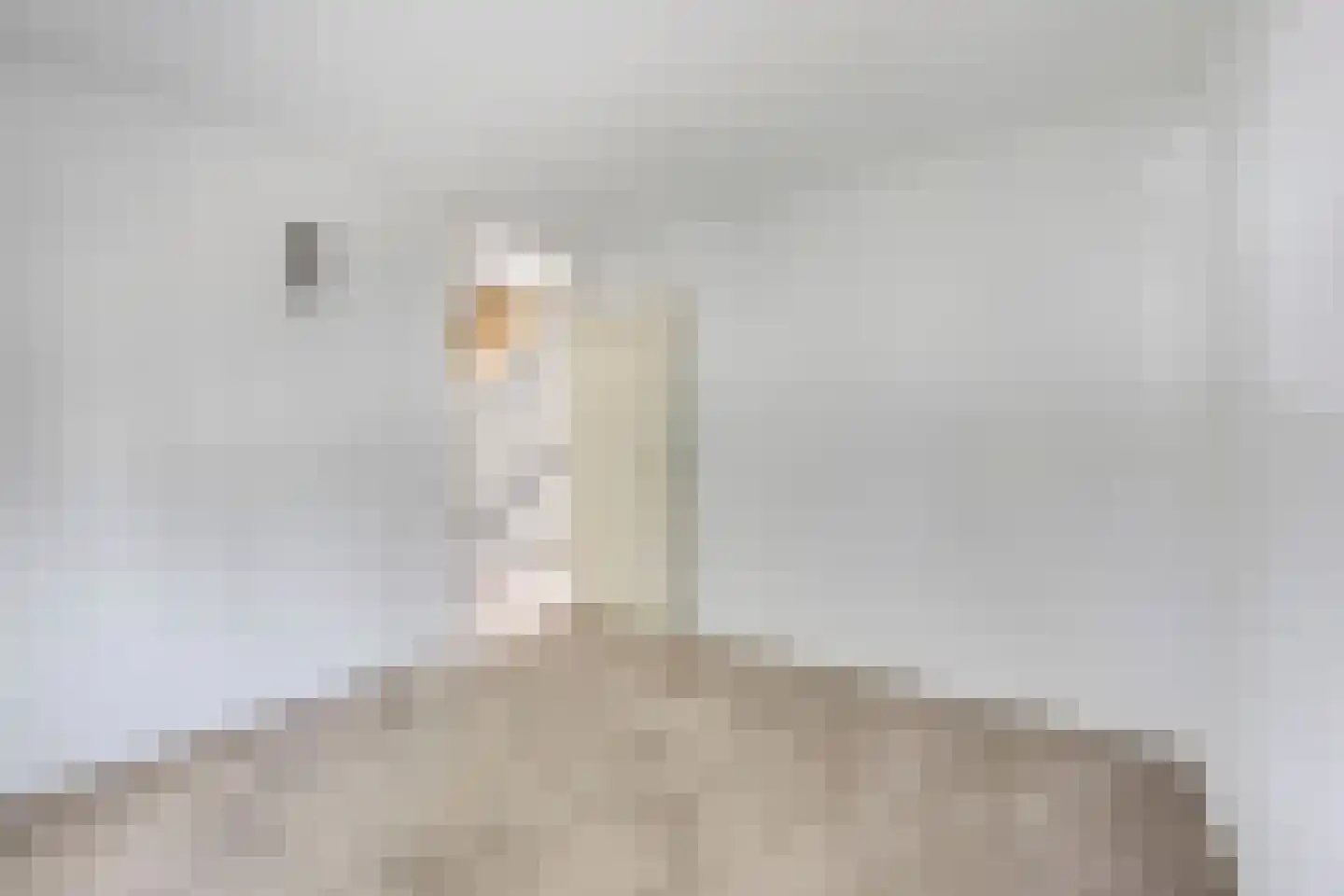 Harkje Benthempad 31 Schiedam thumbnail 29