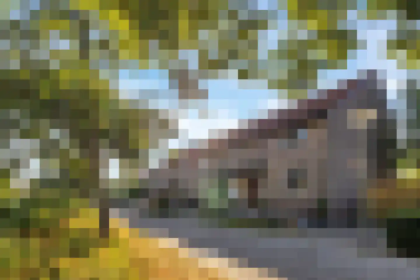 Harkje Benthempad 31 Schiedam thumbnail 35