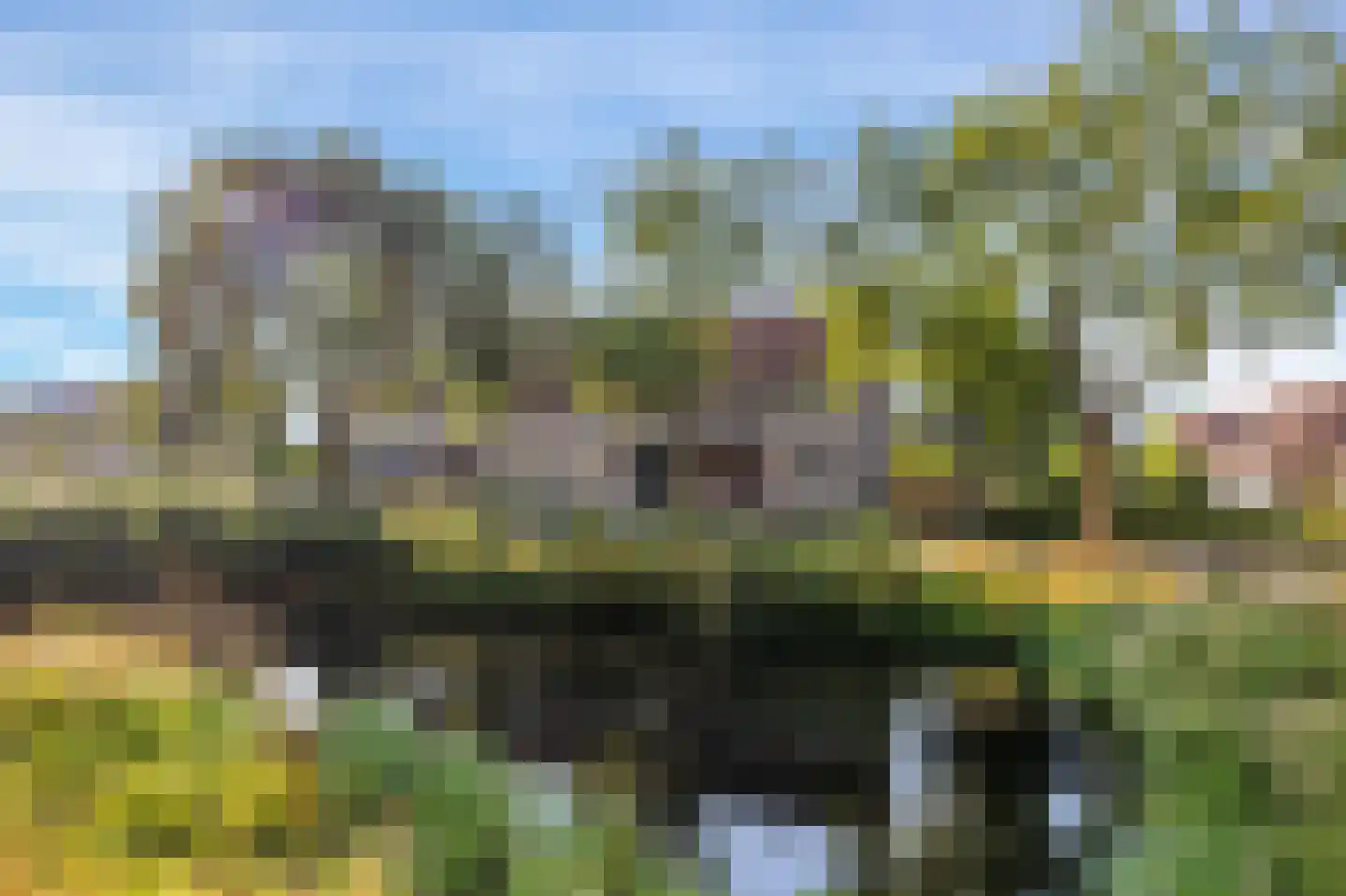 Harkje Benthempad 31 Schiedam thumbnail 36