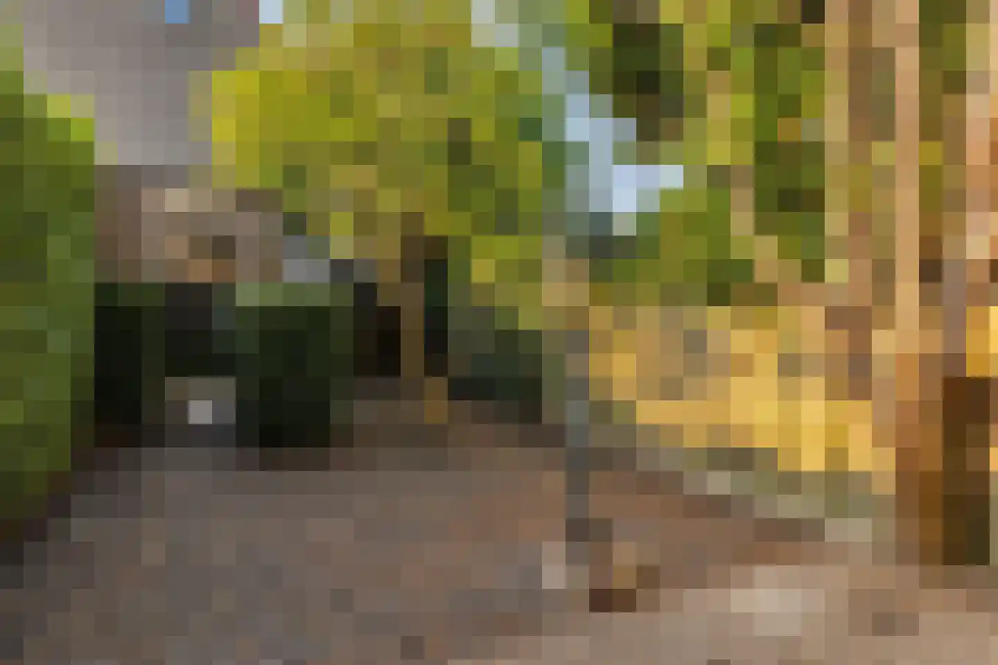Harkje Benthempad 31 Schiedam thumbnail 4