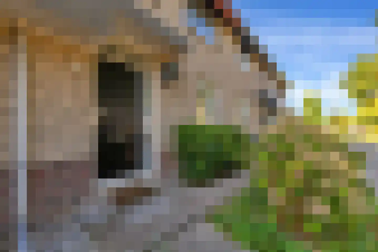 Harkje Benthempad 31 Schiedam thumbnail 6