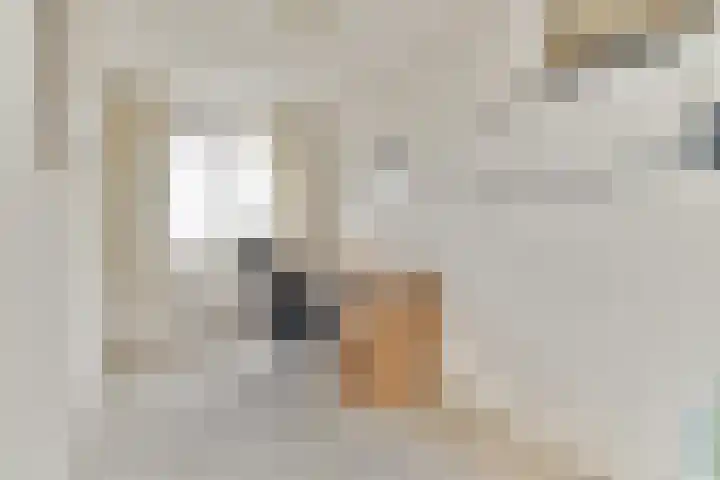 Harkstraat 29 Purmerend thumbnail 20