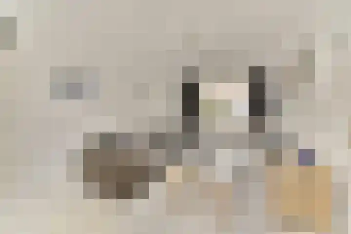 Harkstraat 29 Purmerend thumbnail 8
