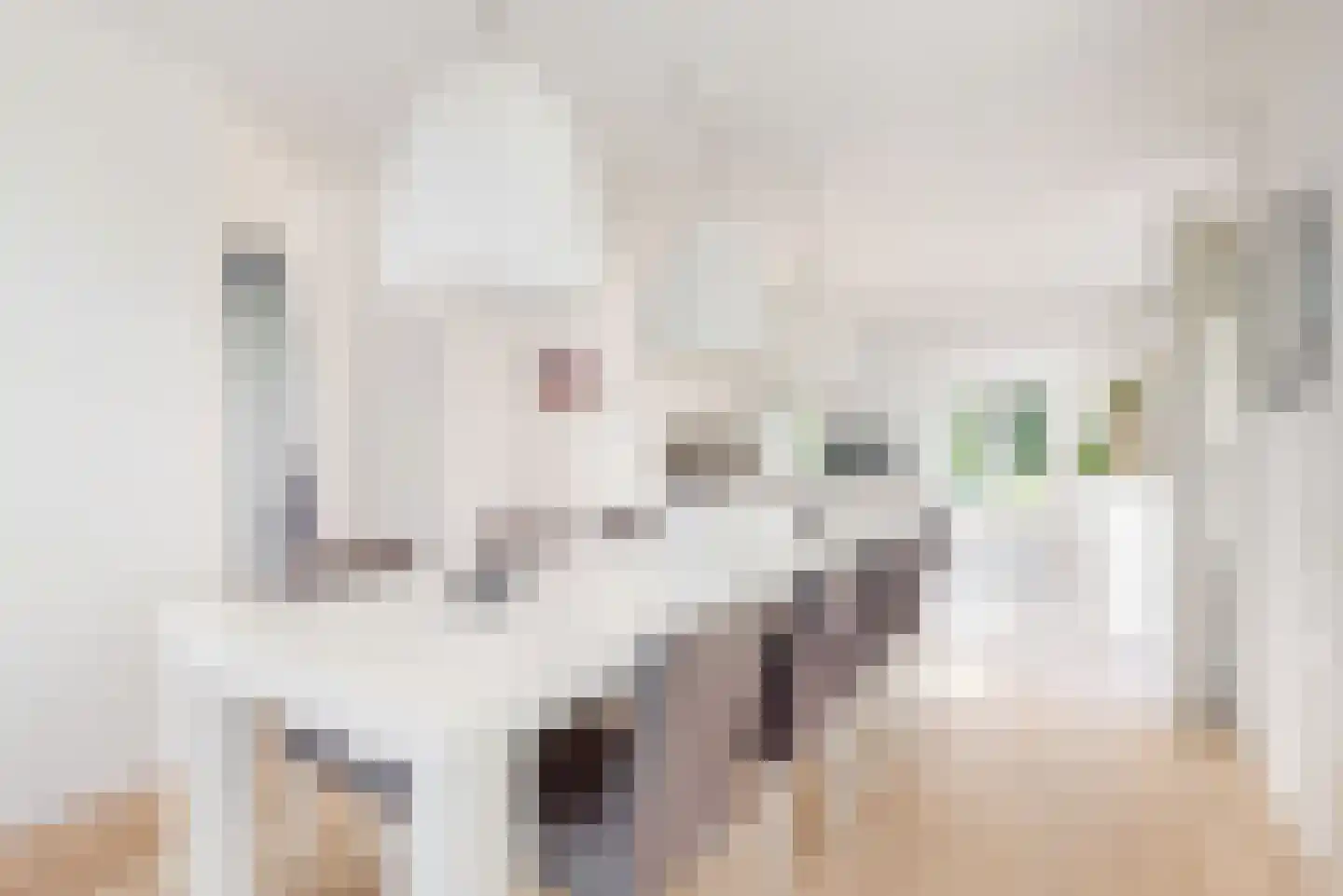Harlekijneend 3 Uithoorn thumbnail 11