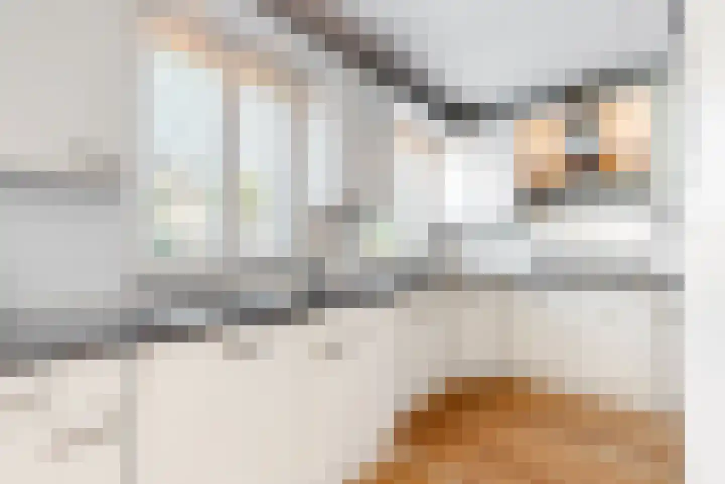 Harlekijneend 3 Uithoorn thumbnail 12