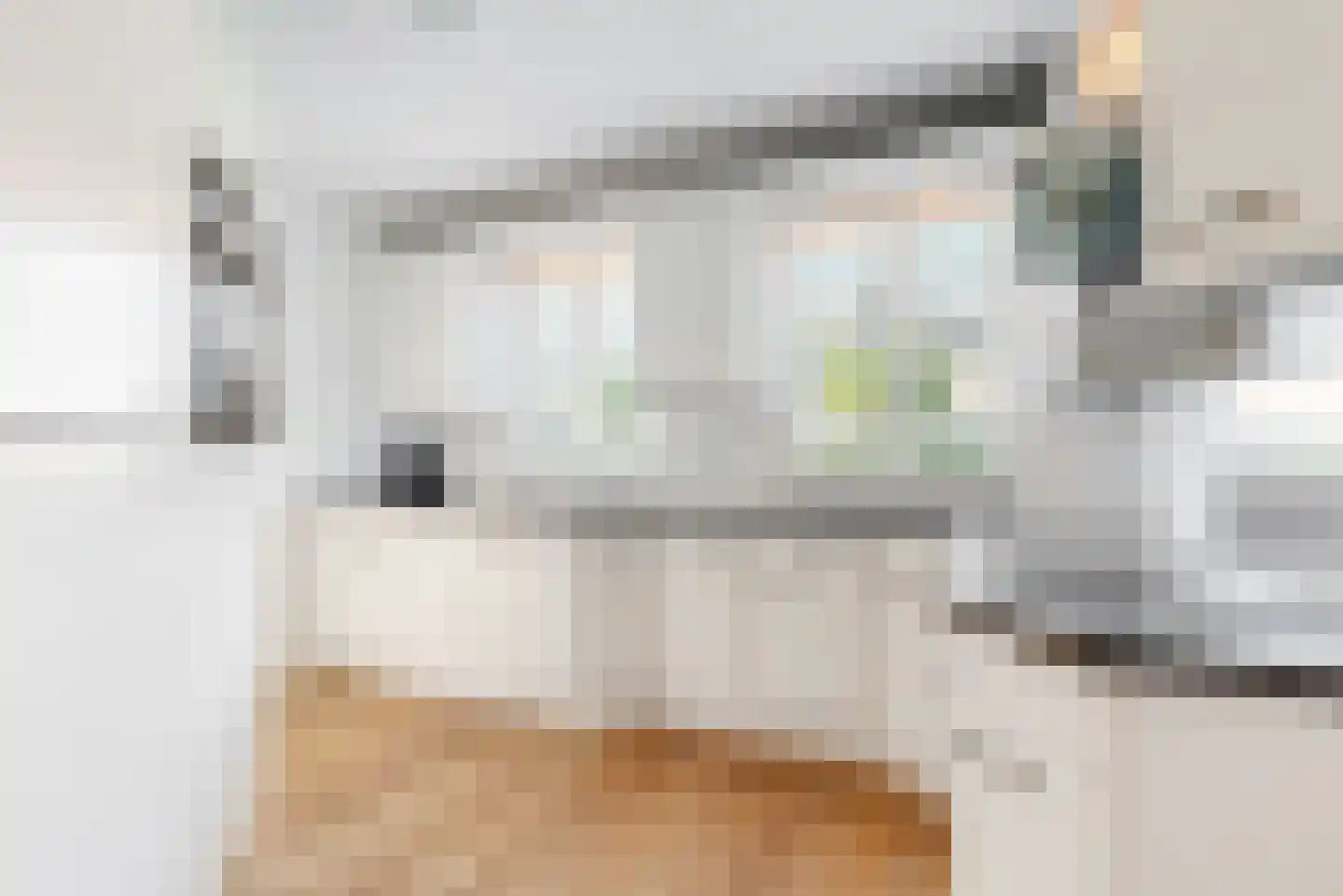 Harlekijneend 3 Uithoorn thumbnail 16