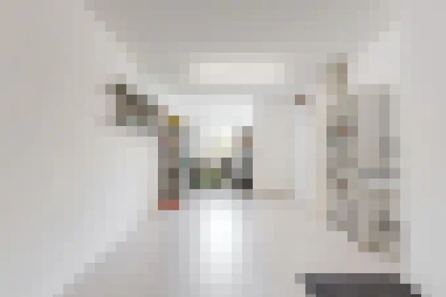 Harlekijneend 3 Uithoorn thumbnail 19