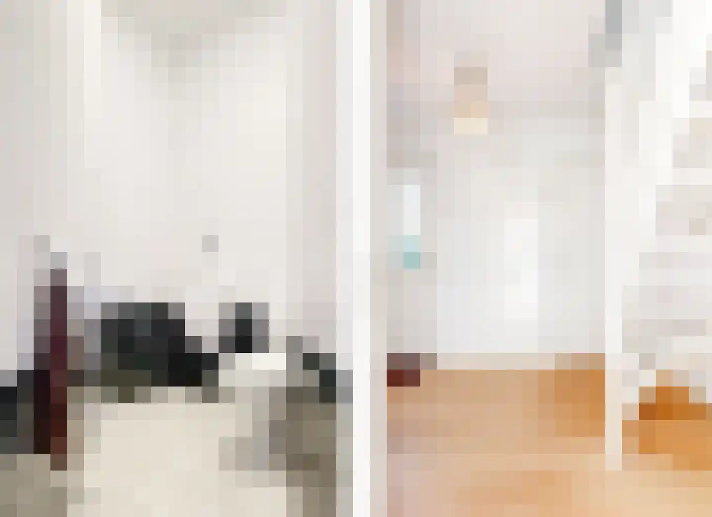 Harlekijneend 3 Uithoorn thumbnail 20