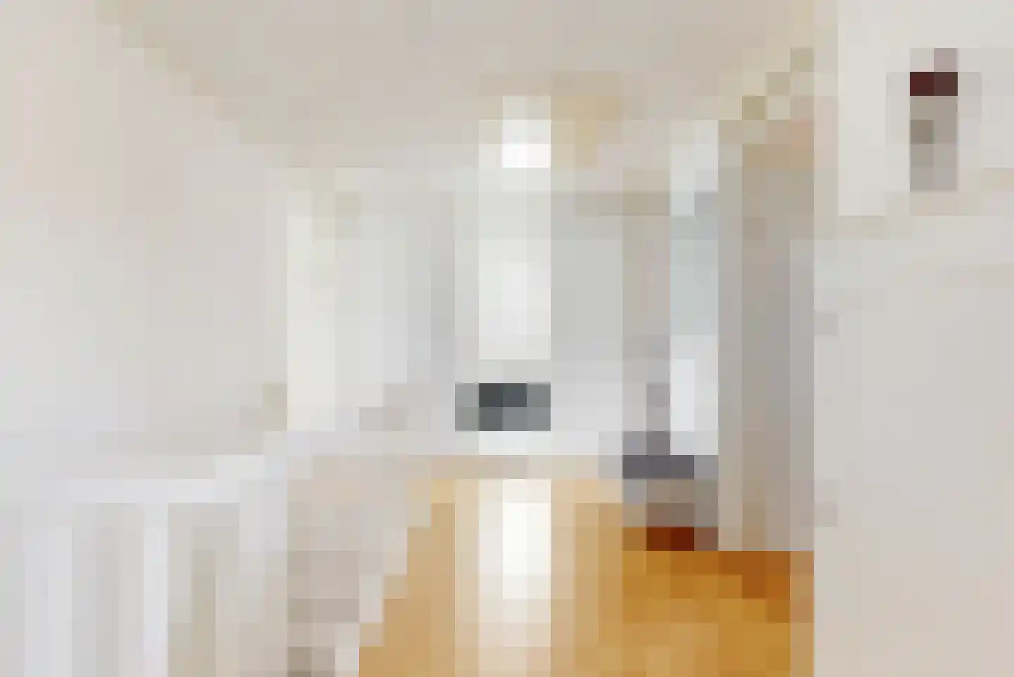 Harlekijneend 3 Uithoorn thumbnail 21