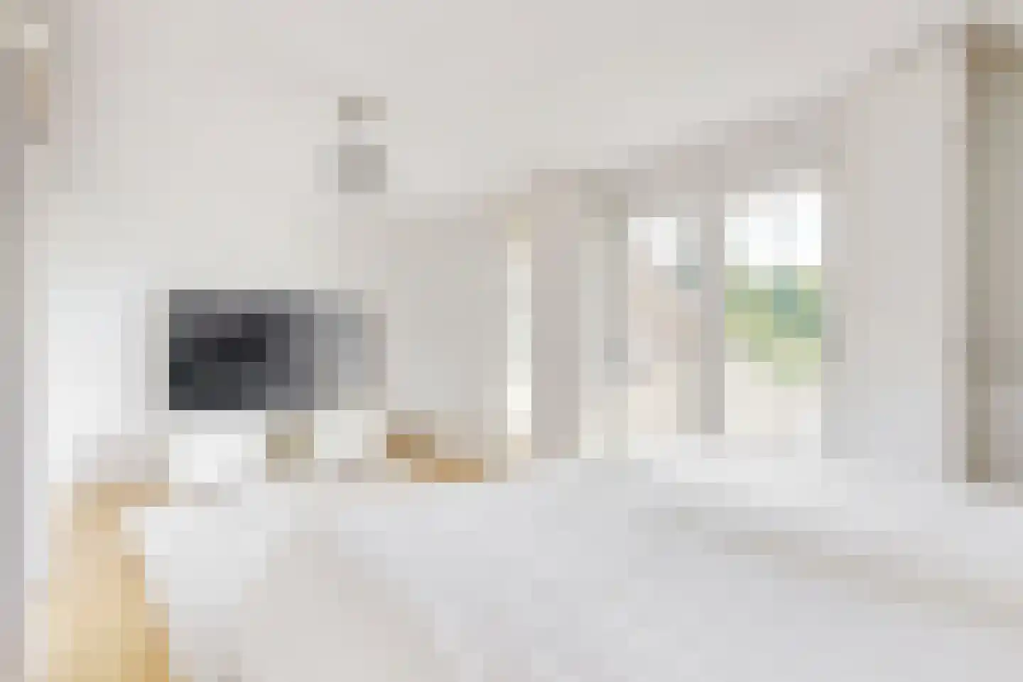 Harlekijneend 3 Uithoorn thumbnail 24