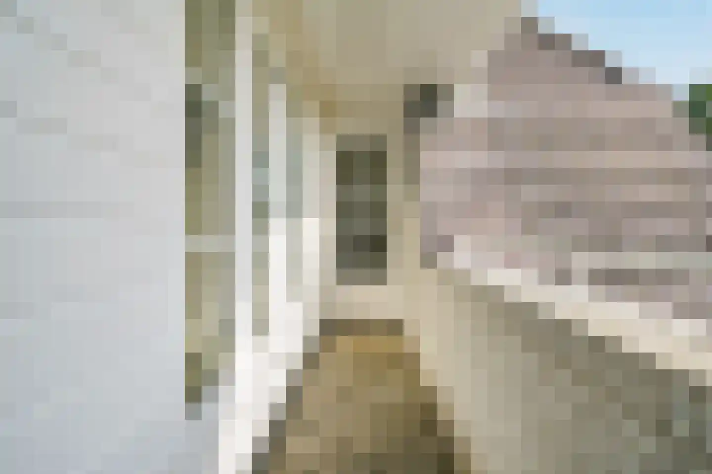Harlekijneend 3 Uithoorn thumbnail 26
