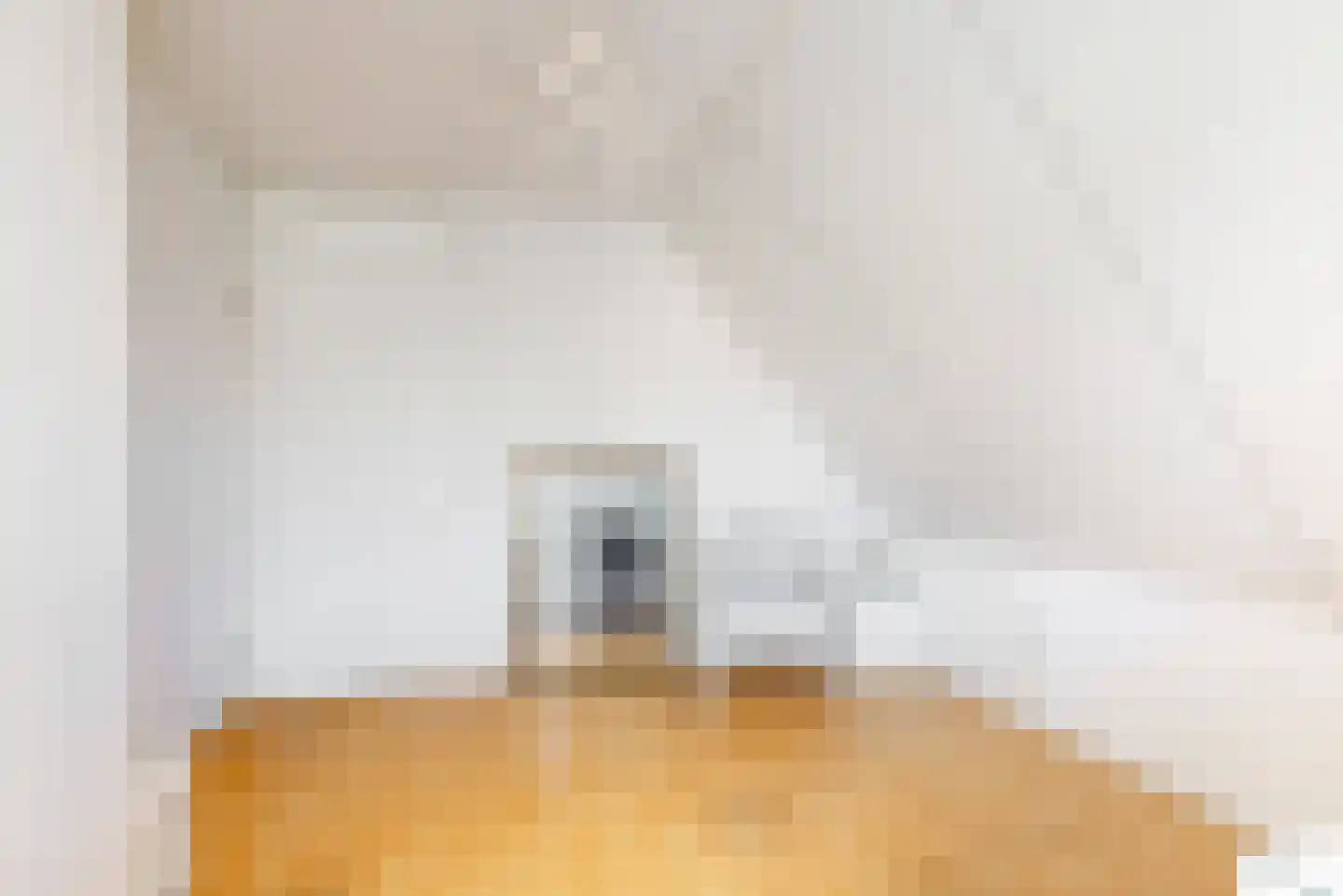 Harlekijneend 3 Uithoorn thumbnail 32