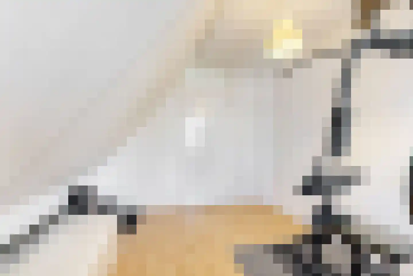 Harlekijneend 3 Uithoorn thumbnail 34
