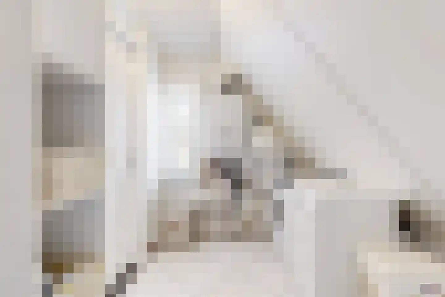 Harlekijneend 3 Uithoorn thumbnail 35