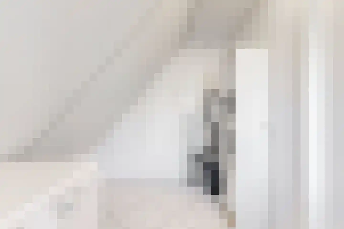 Harlekijneend 3 Uithoorn thumbnail 36