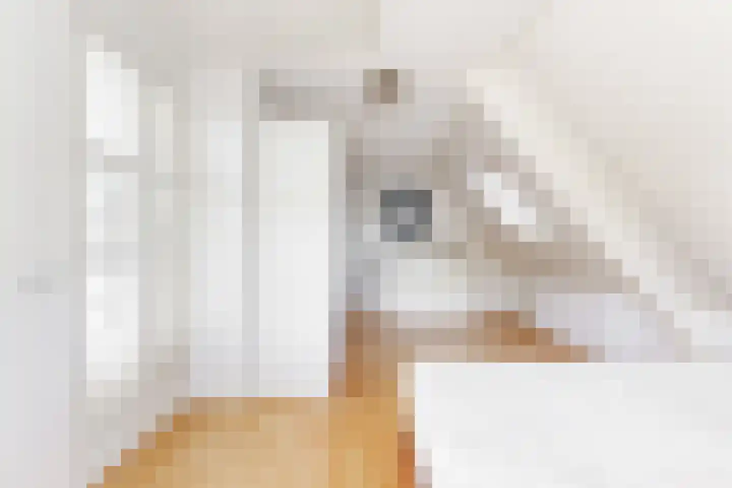 Harlekijneend 3 Uithoorn thumbnail 38