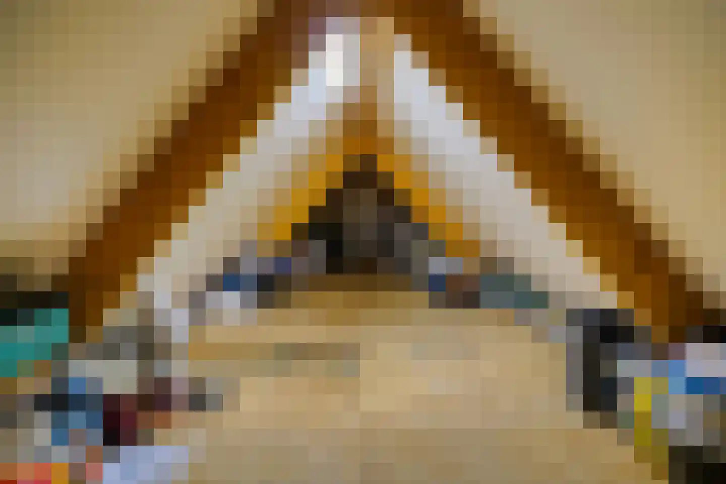 Harlekijneend 3 Uithoorn thumbnail 39