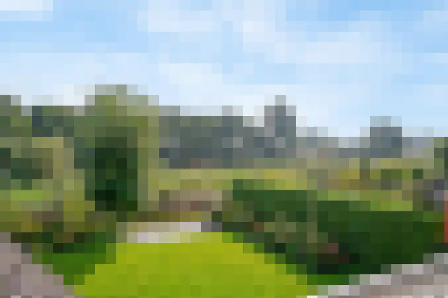 Harlekijneend 3 Uithoorn thumbnail 4