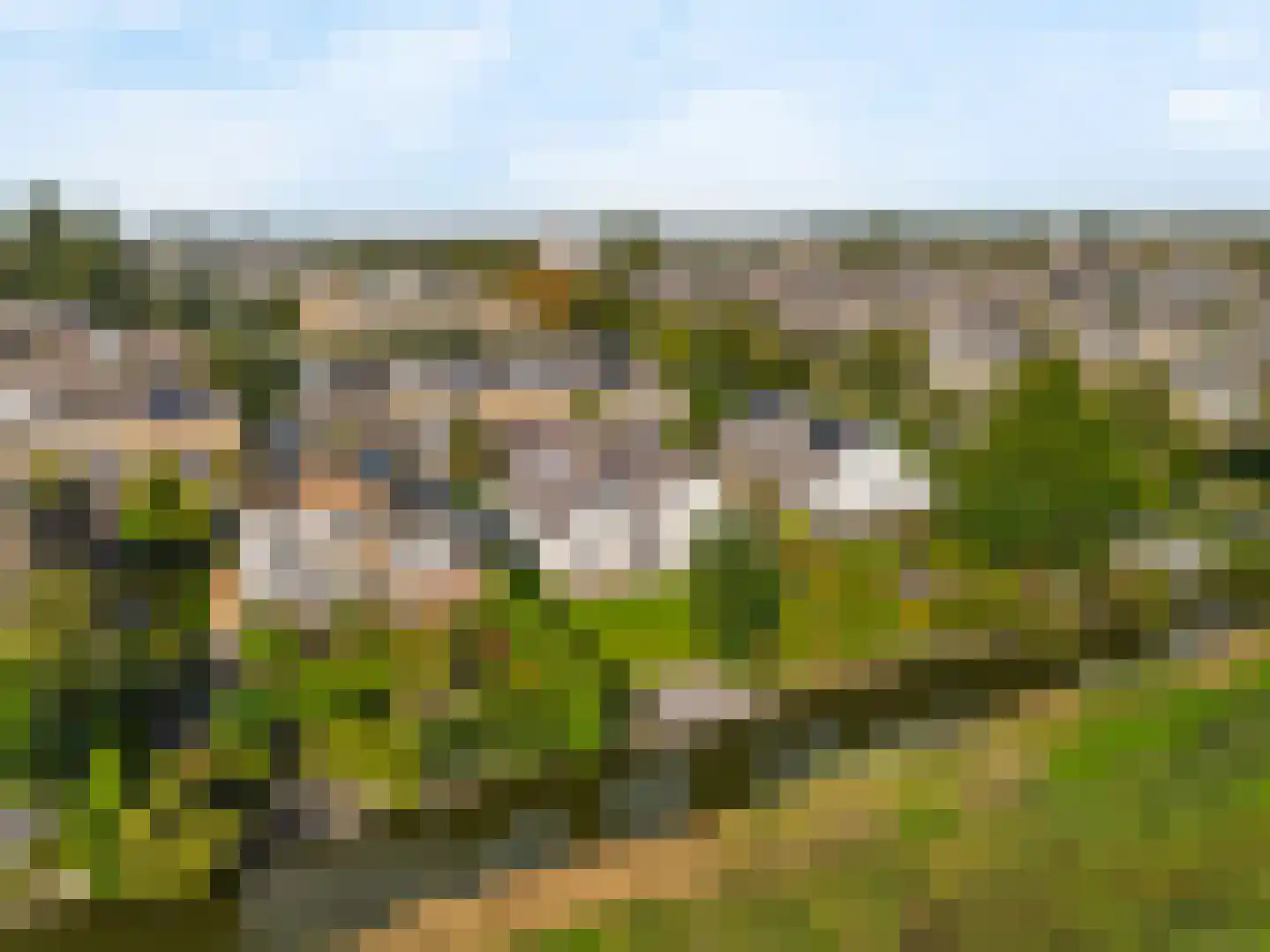 Harlekijneend 3 Uithoorn thumbnail 40