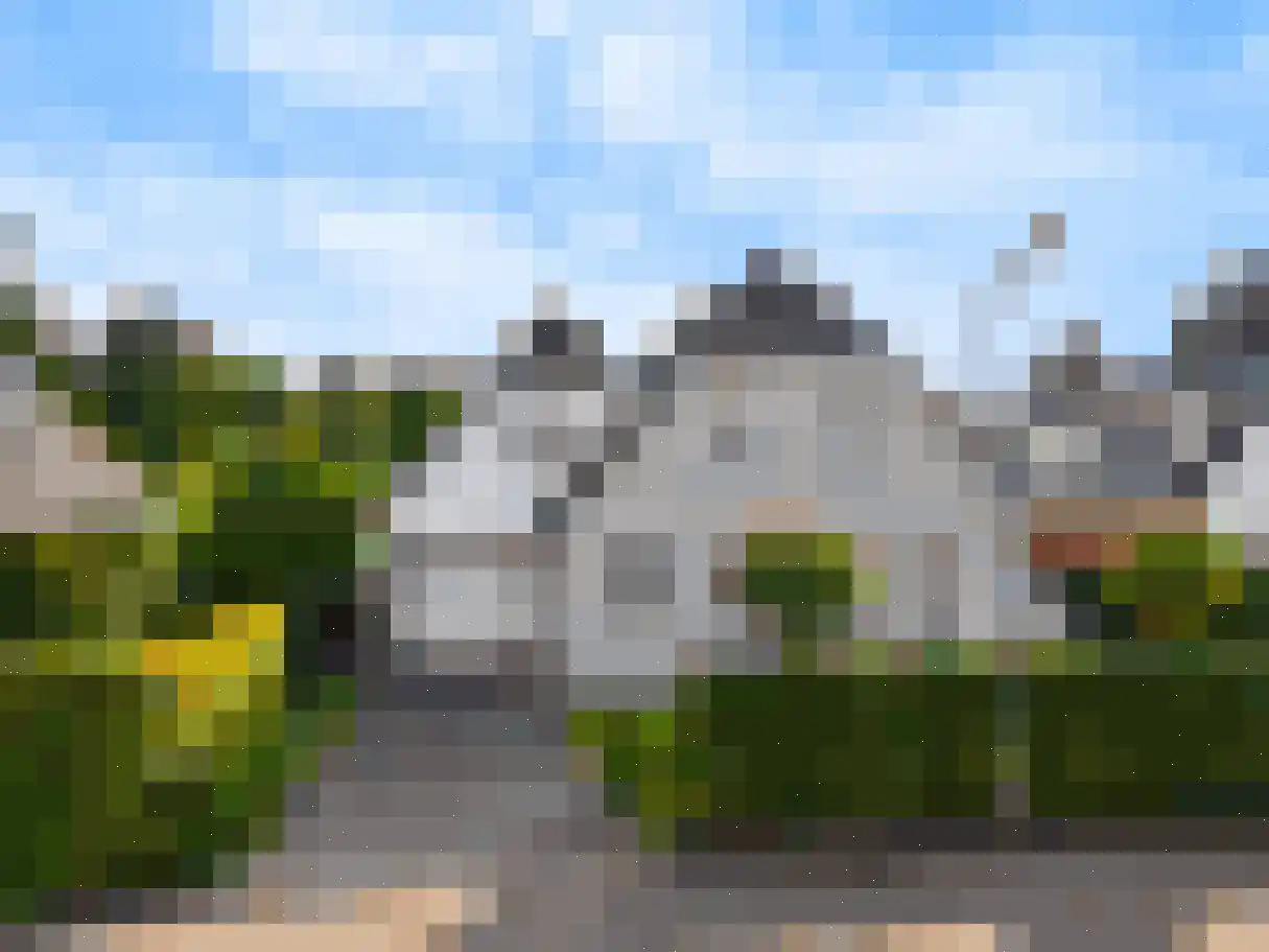 Harlekijneend 3 Uithoorn thumbnail 41