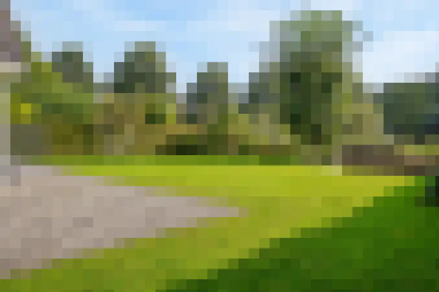 Harlekijneend 3 Uithoorn thumbnail 42
